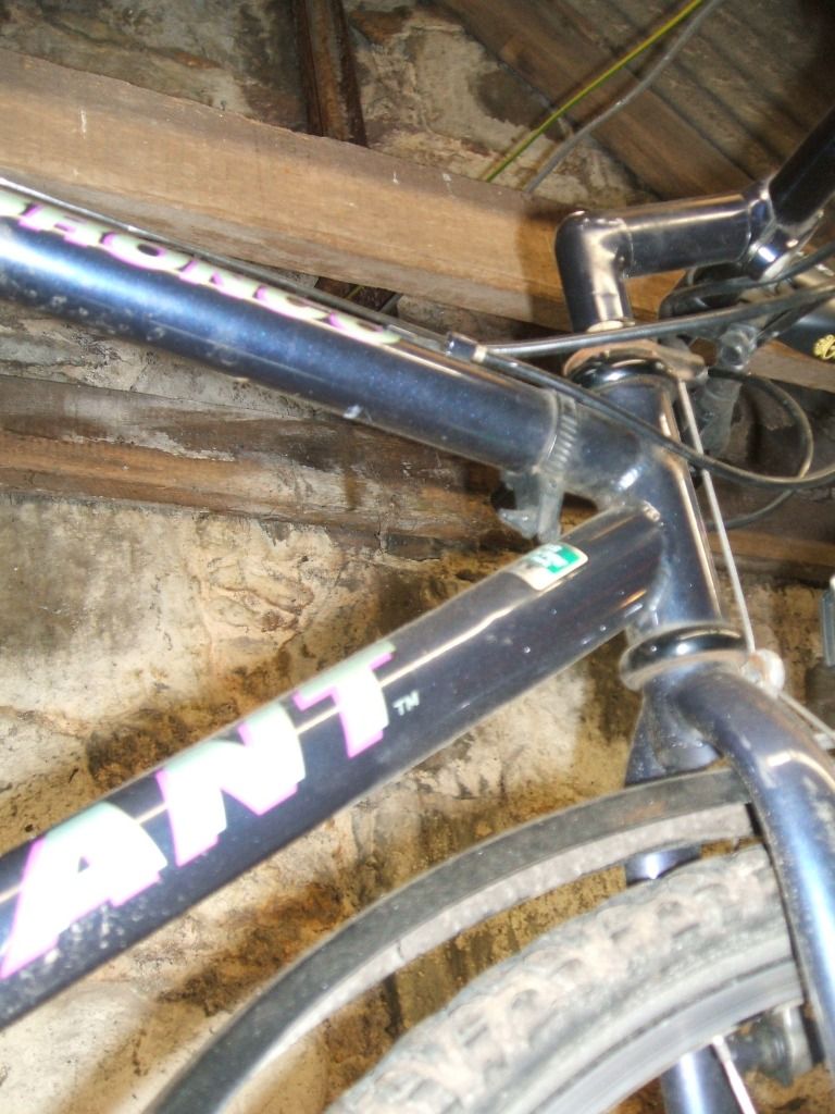 DSCF5495.jpg