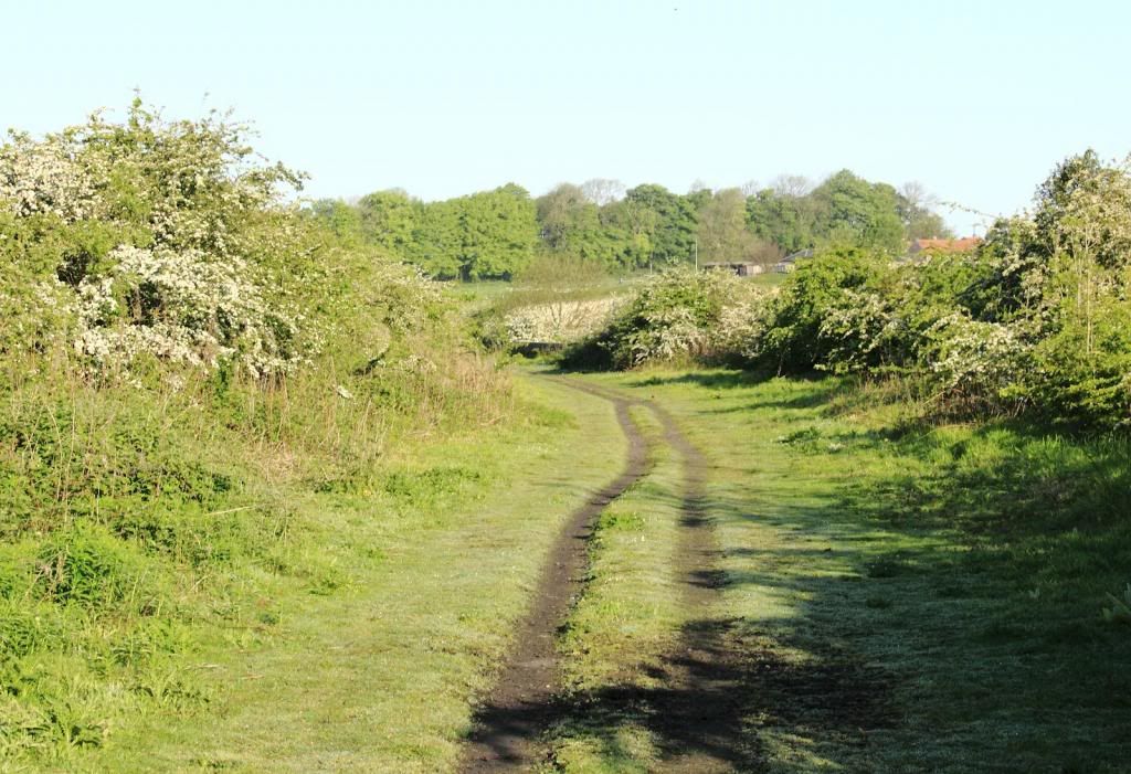 hudsonway2_zpscafd0b68.jpg