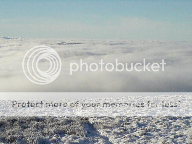 DSC00425_zpsfupsqckc.jpg