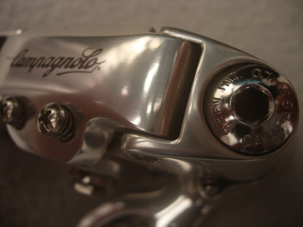 DSCN6523.jpg
