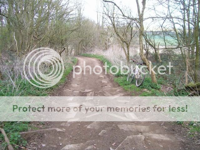 00011-1.jpg
