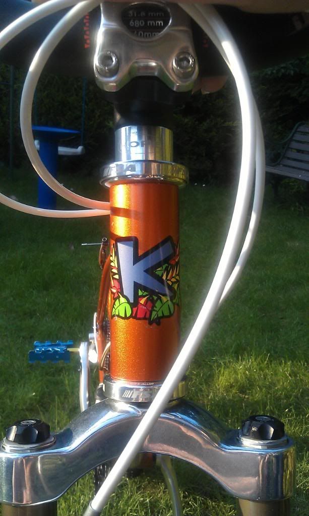 IMAG0584.jpg