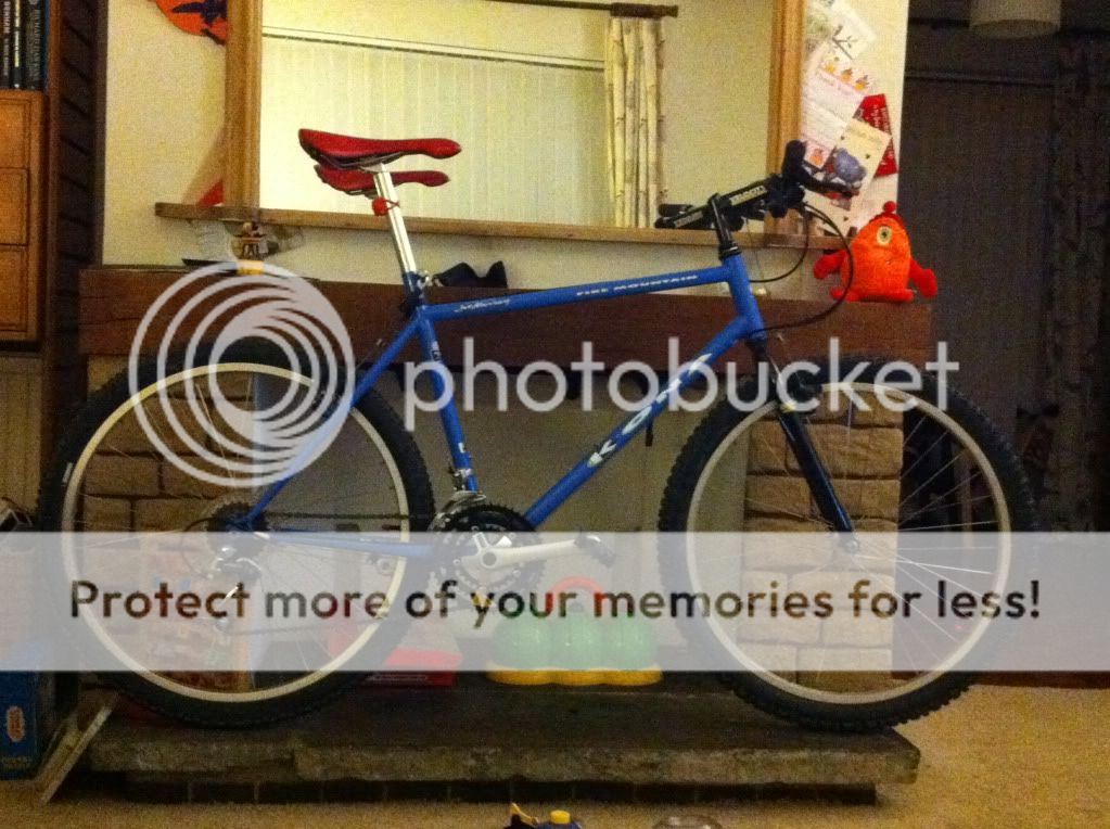 photo46.jpg