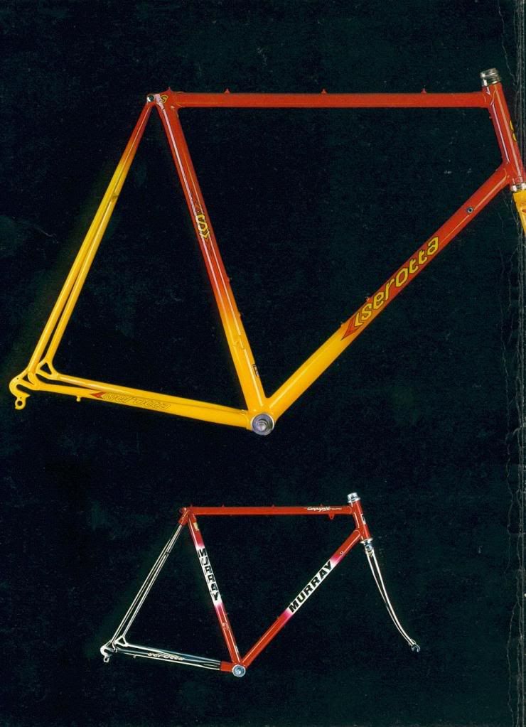 1986serottacatalog2.jpg