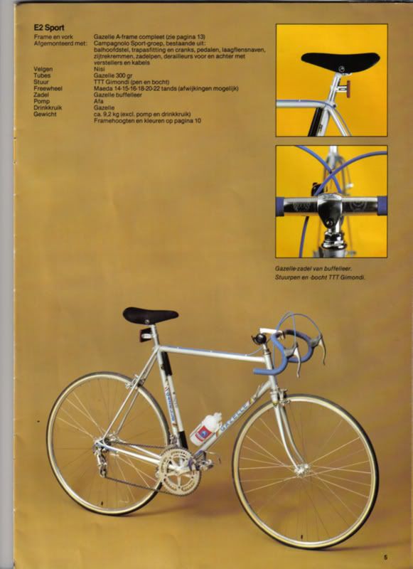 gazelle4.jpg