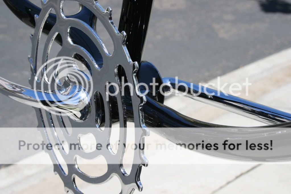 IMG_4064.jpg