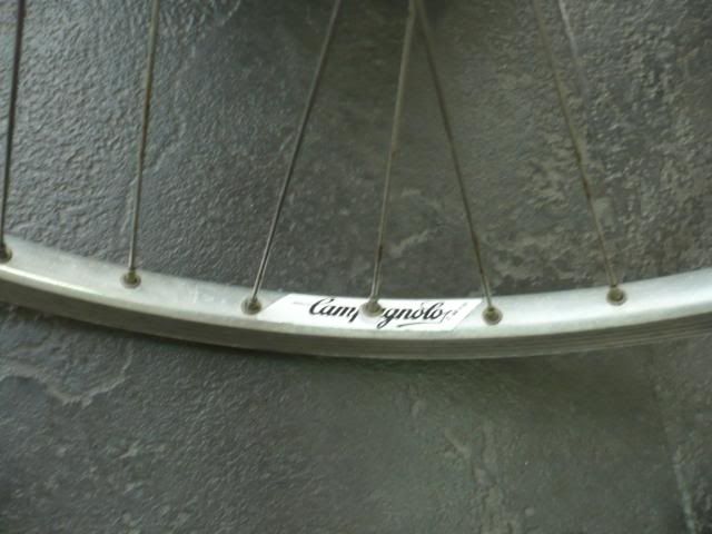 P1020133.jpg
