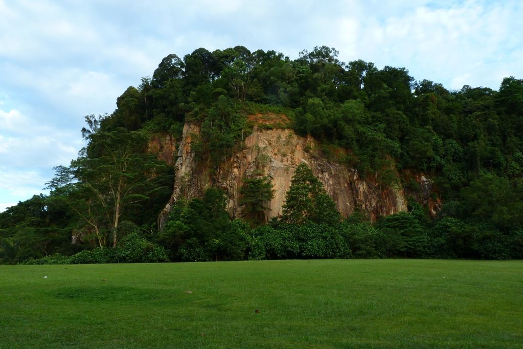 P1010954.jpg