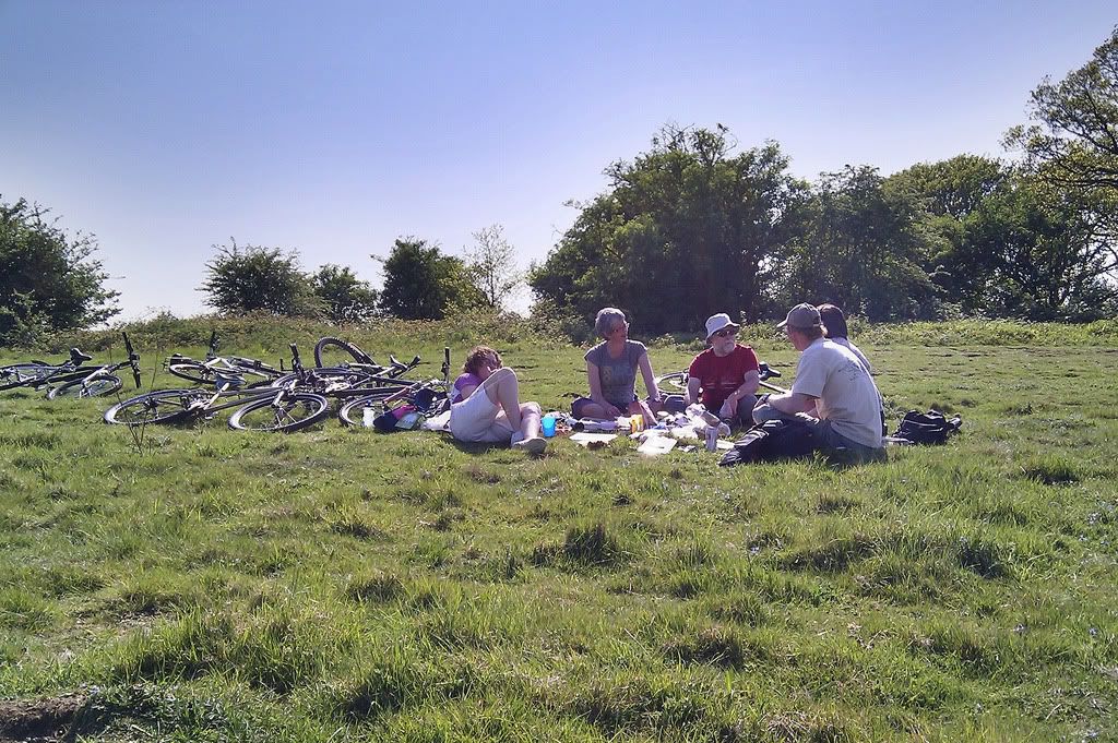 blue_sky_picnicing.jpg