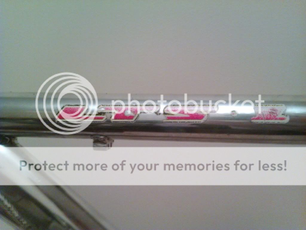 IMAG0044.jpg