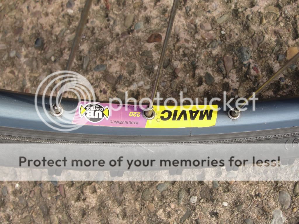bikes010.jpg