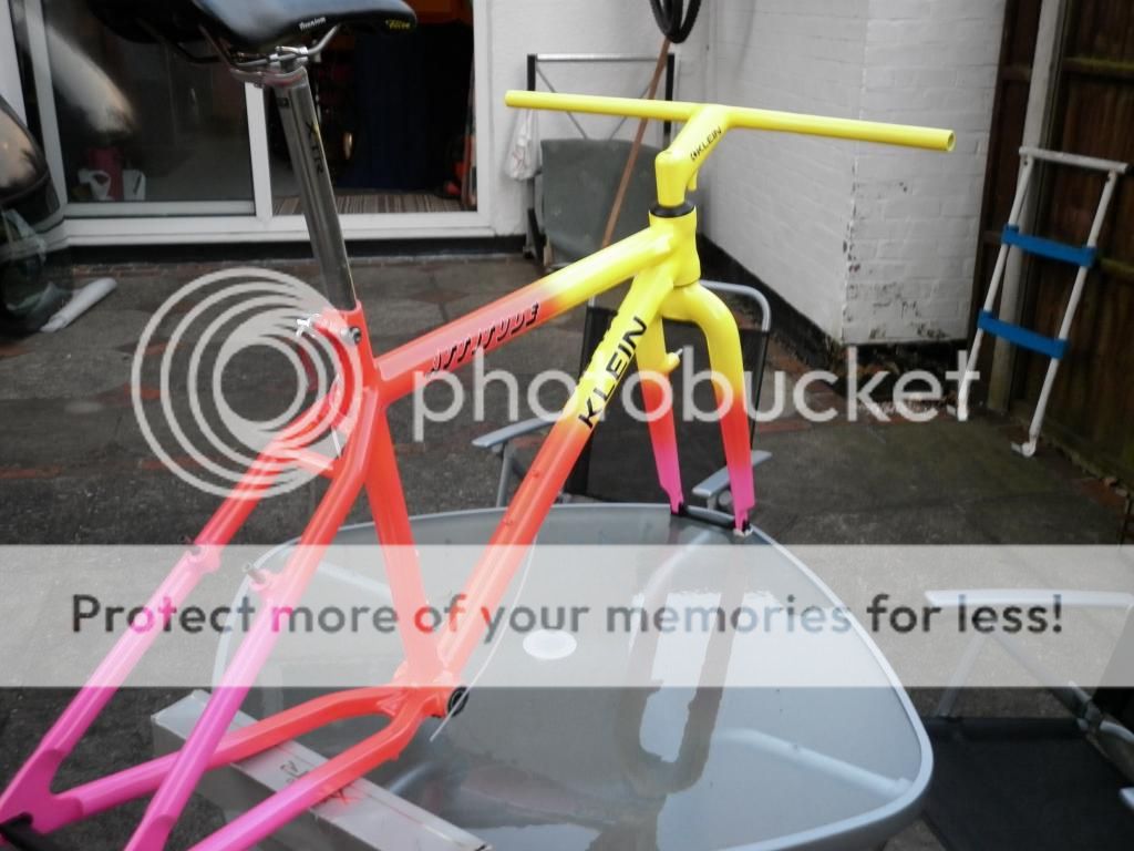 P1000781_zps59c92ab6.jpg