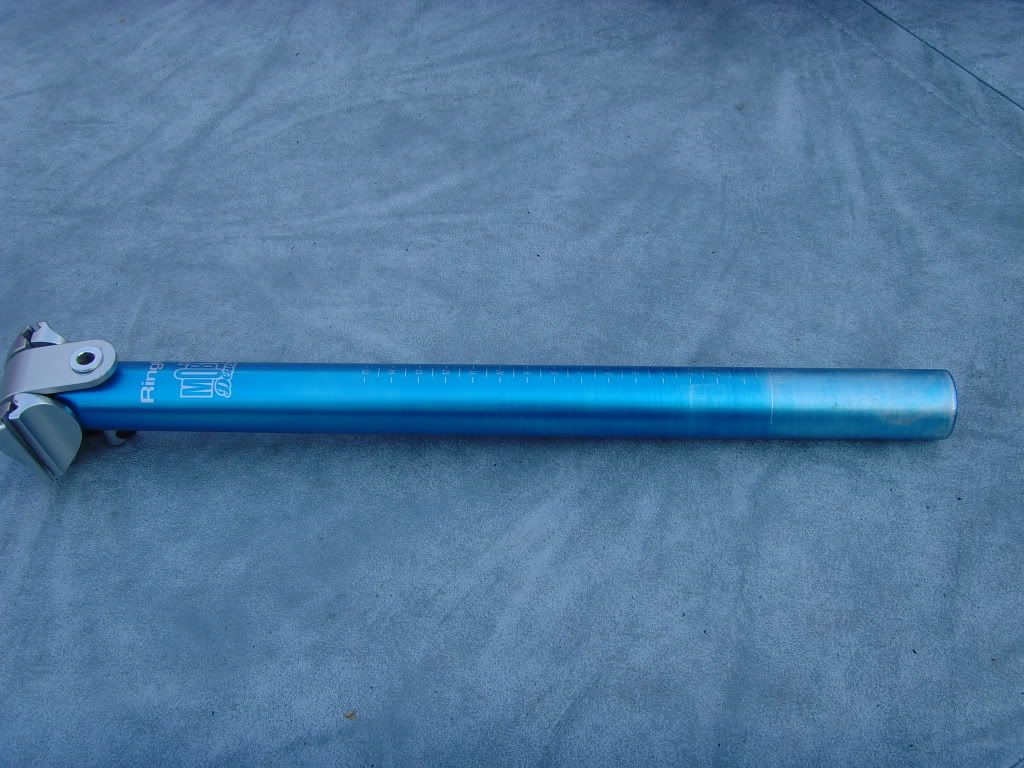 SNV35504.jpg