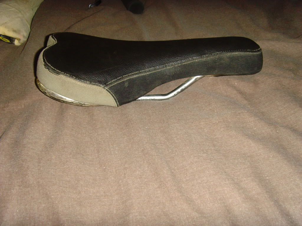 SNV34260.jpg