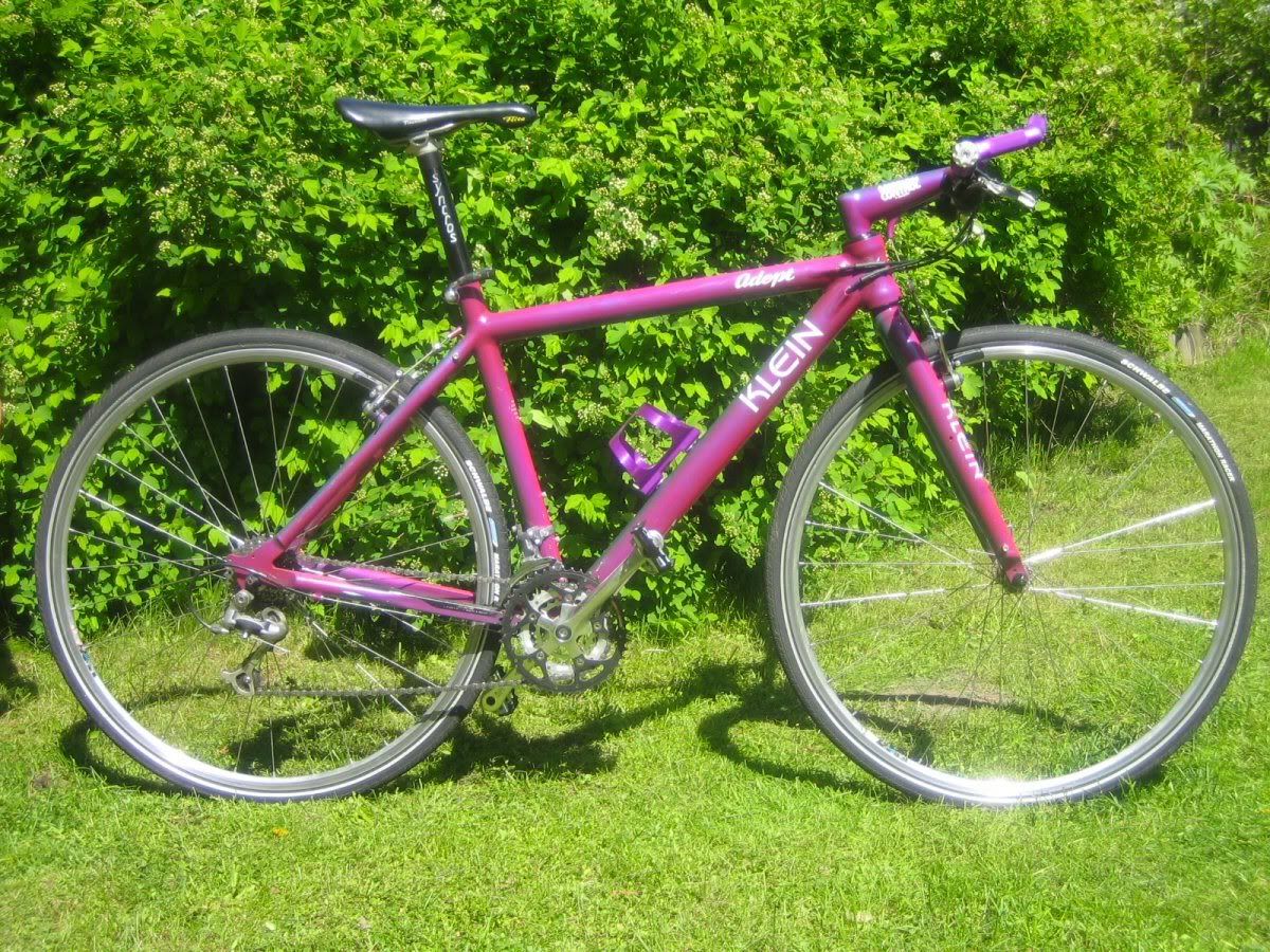 adept_95_1.jpg
