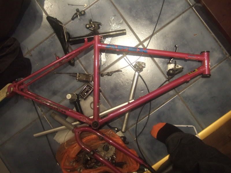 apexfeb006.jpg