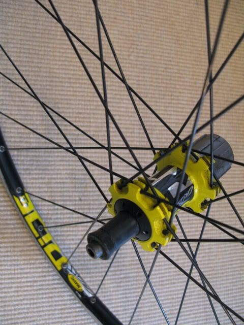 crossride5.jpg