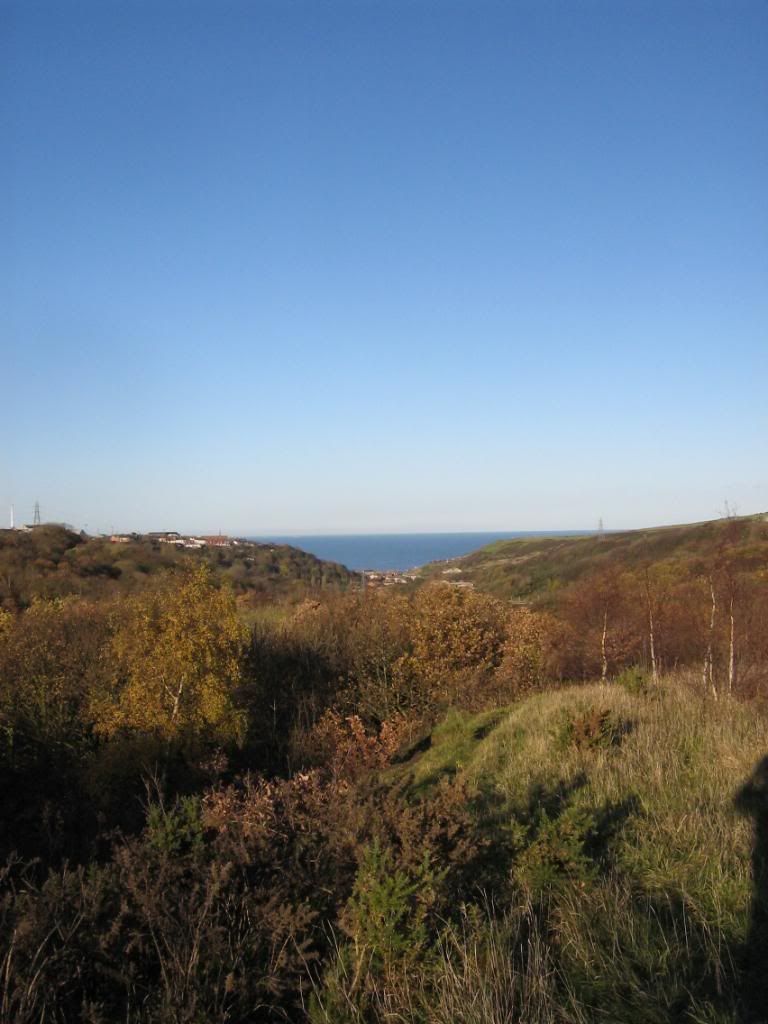 IMG_3150.jpg