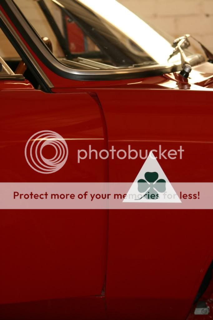 ALFA8.jpg