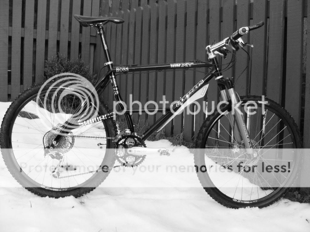 2008_1207alpinestars0017.jpg