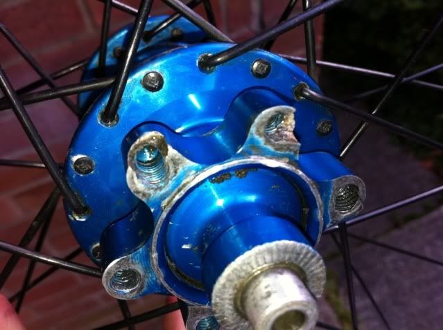 bbf4e431.jpg
