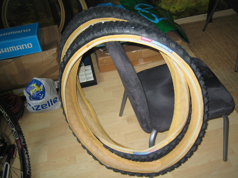 p4pb7561337.jpg