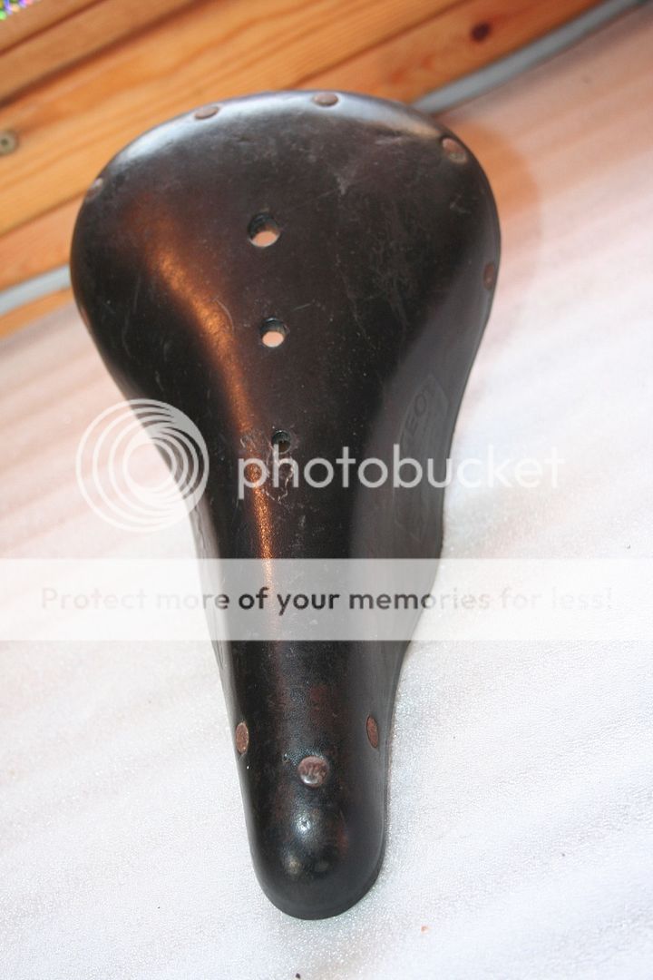 file-175.jpg