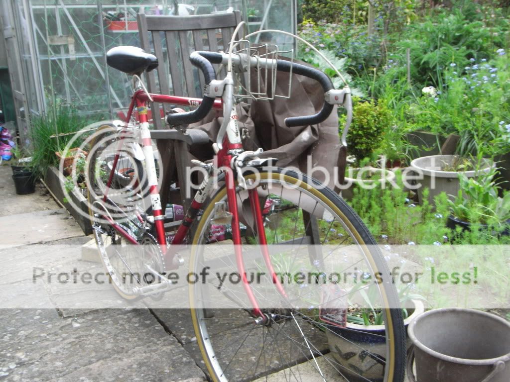 piggiesandbike017.jpg