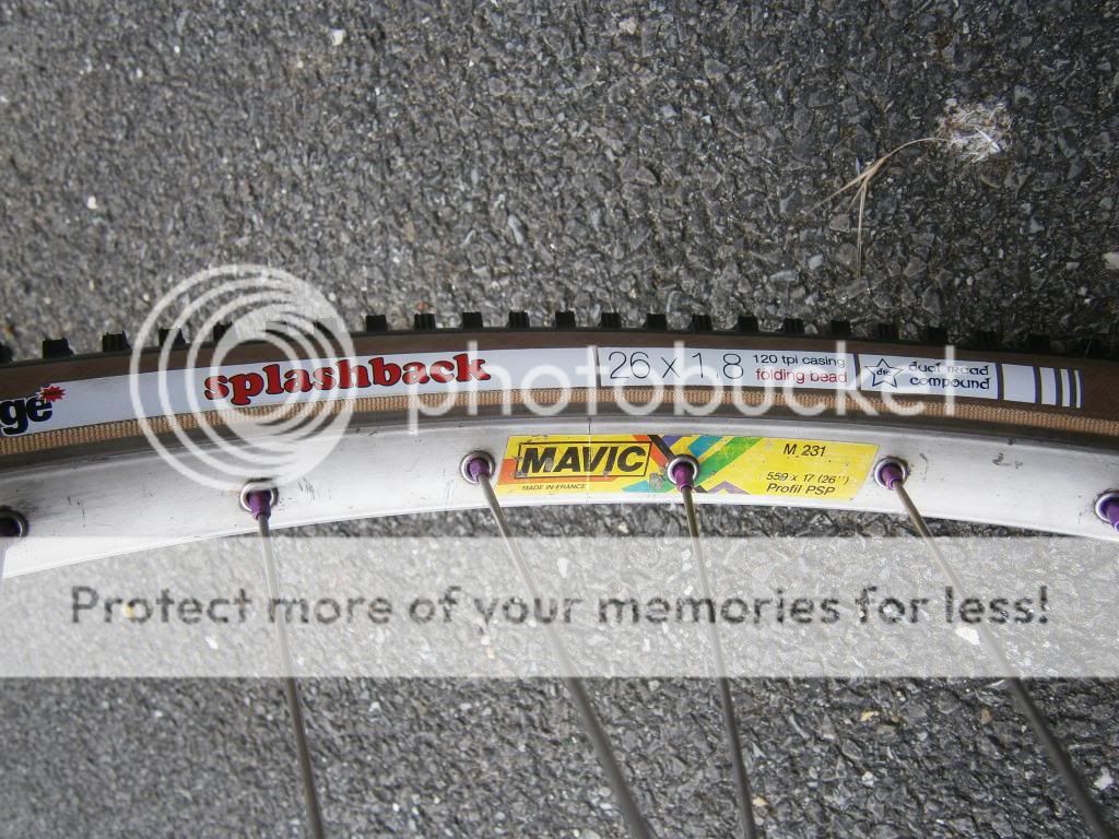 P5150739_zps996fa0bf.jpg