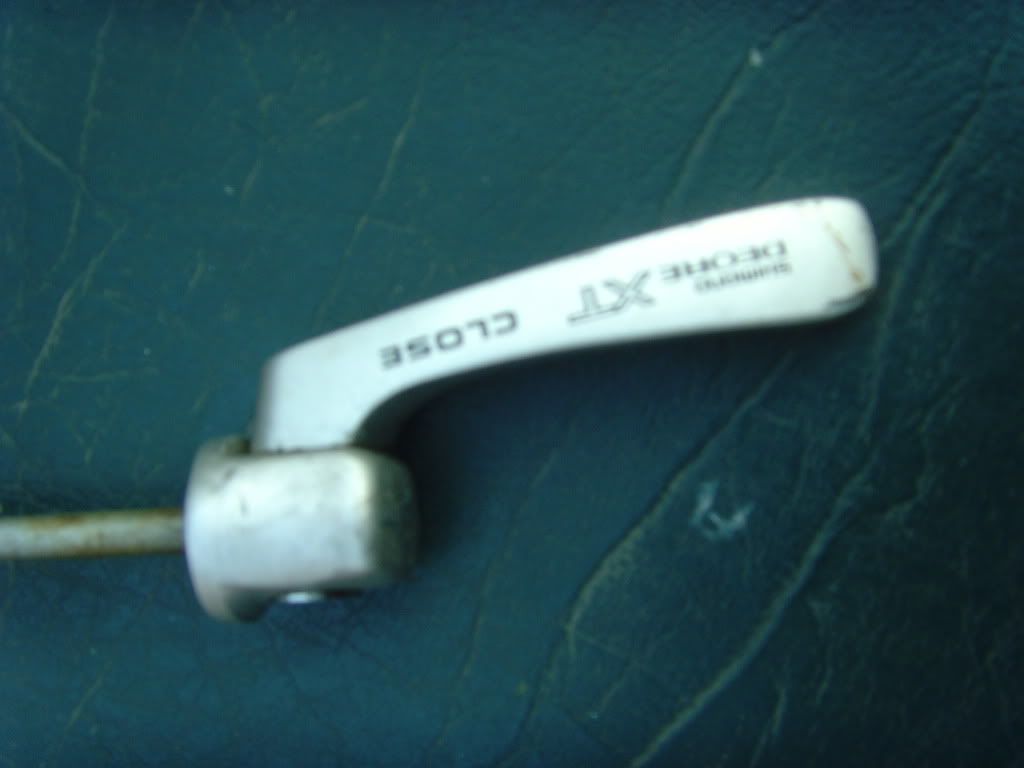 SNV33979.jpg