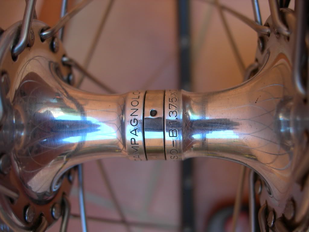DSCN9388.jpg