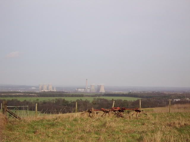 STA70355.jpg