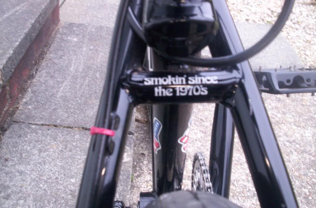 gtpeace004.jpg