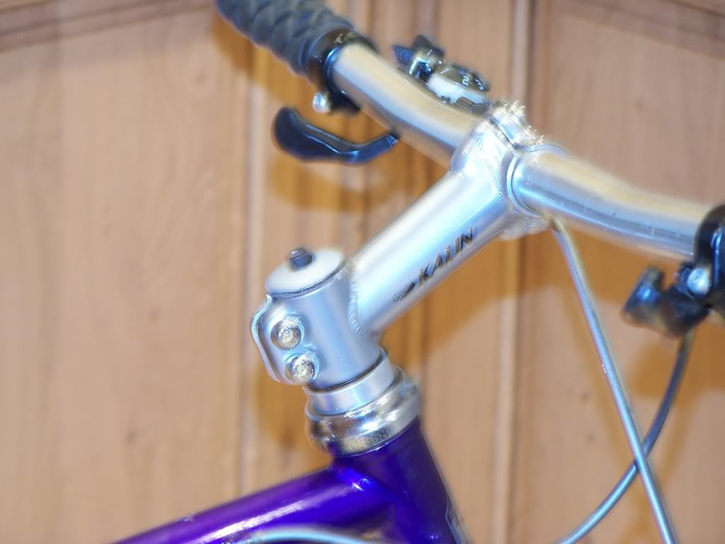 sacracenisback007.jpg