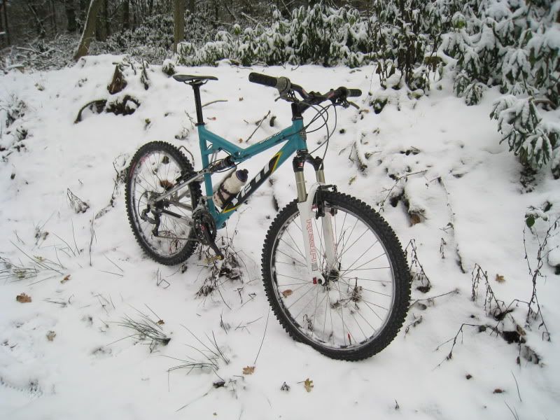 HelensDo064.jpg