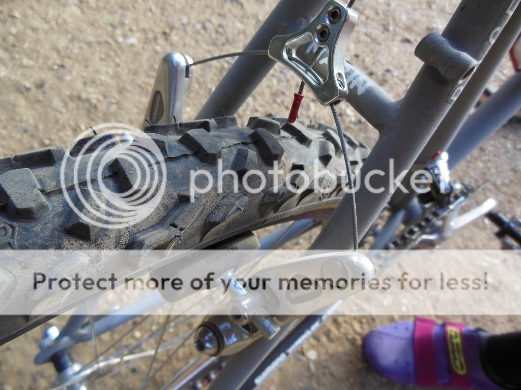 DSCN2505.jpg
