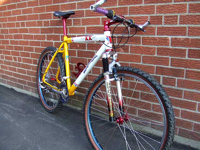 MyXXTeam02.jpg