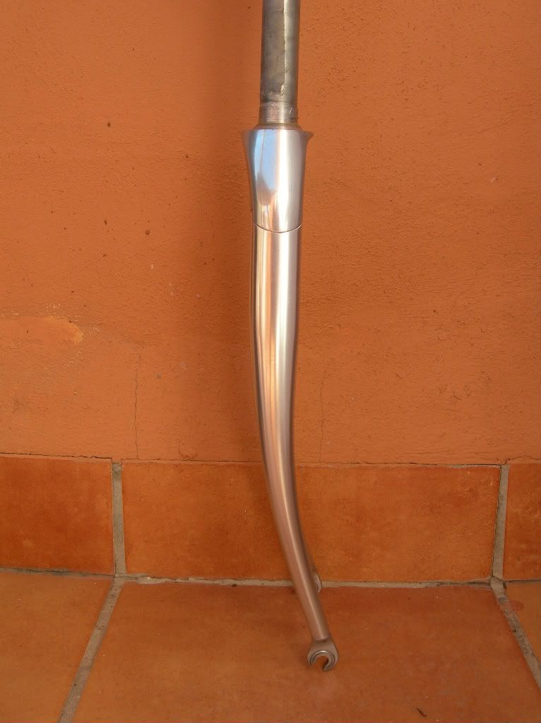 DSCN8156.jpg
