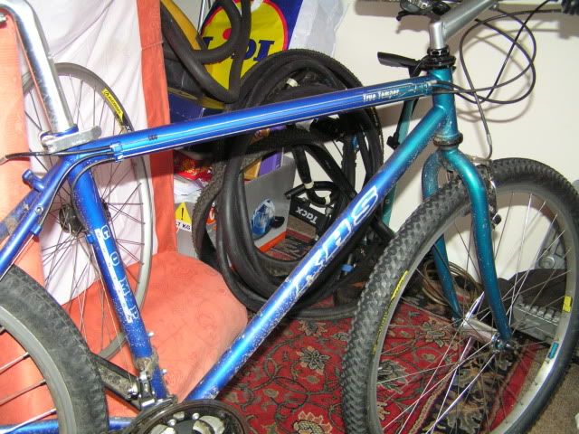 Picture10007.jpg