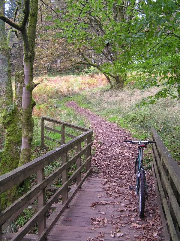ParkHillWoods2909117.jpg