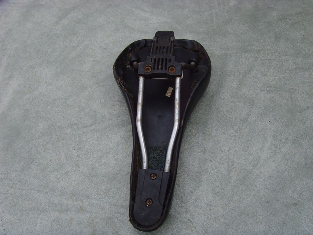 SNV36709.jpg