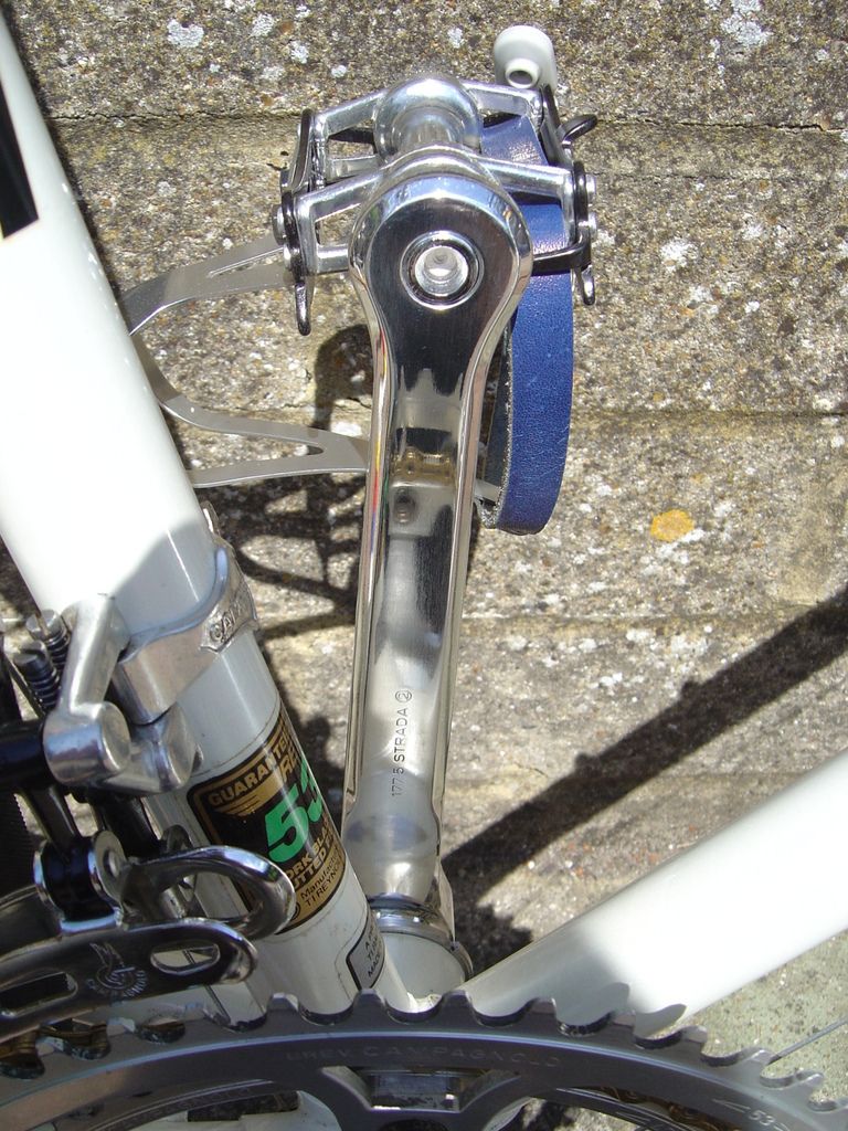 teambikes012.jpg