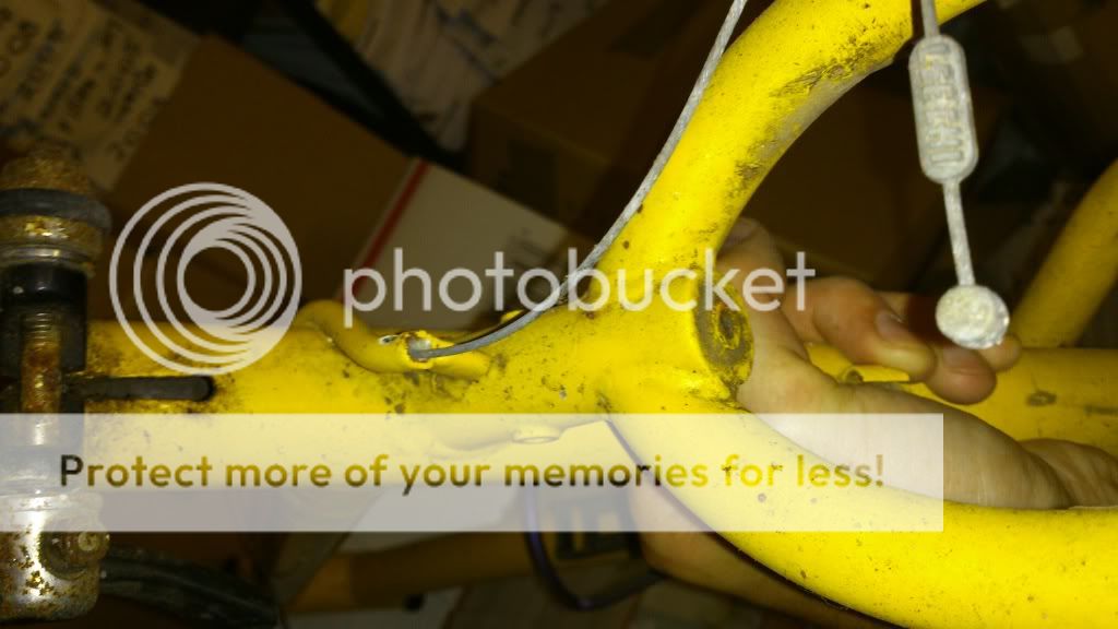 DSC_1358_zps281da647.jpg