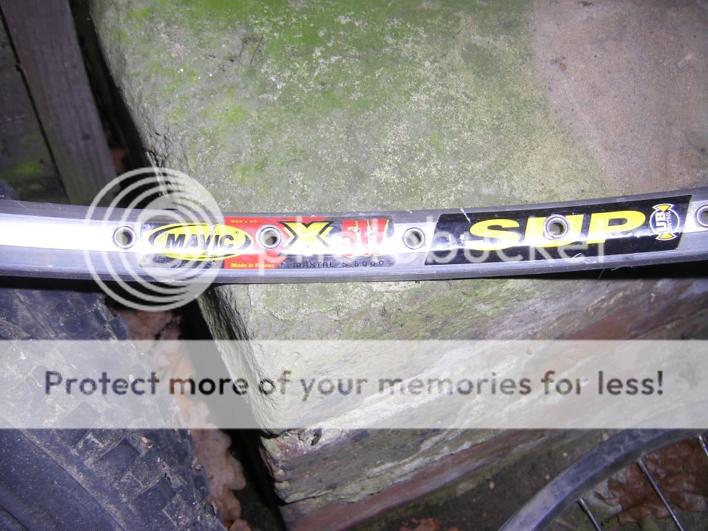 STH71219.jpg