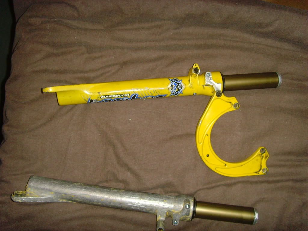 SNV33987.jpg