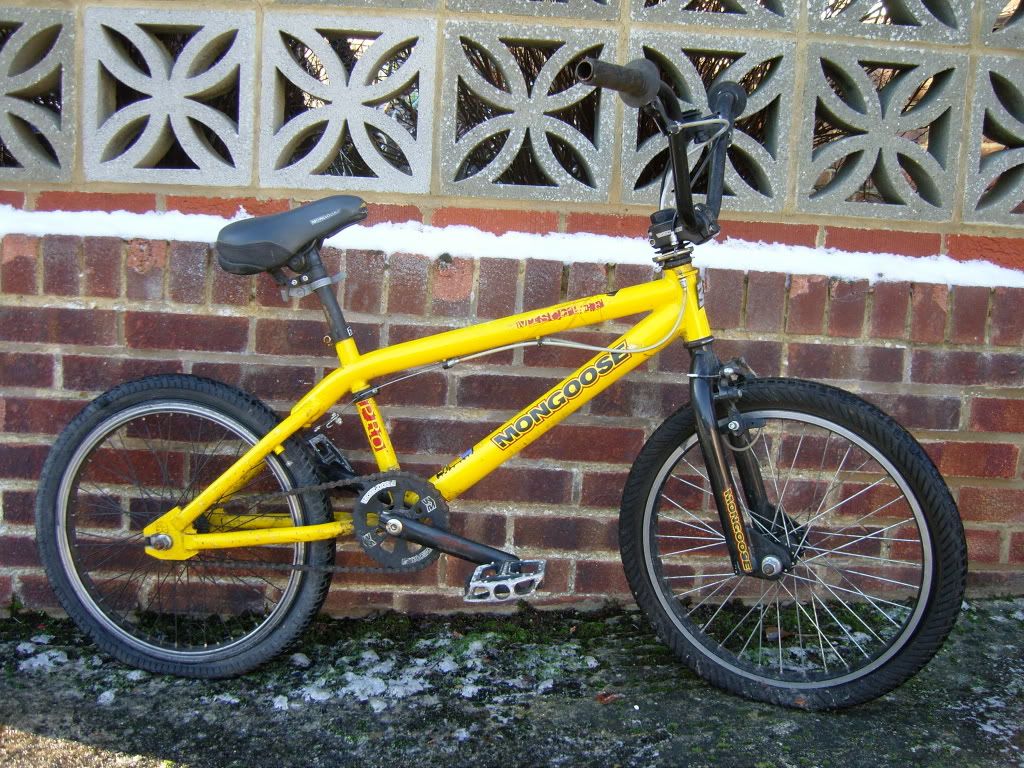 andybmx014.jpg