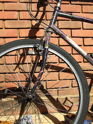 DSCF0390.JPG