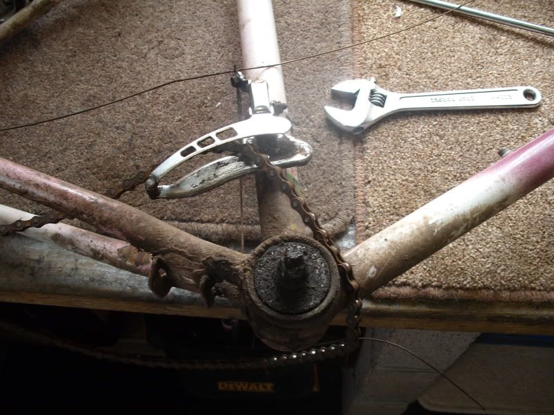 DSCF0771.jpg
