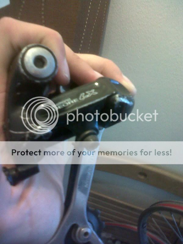 IMG00194-20110521-1705.jpg