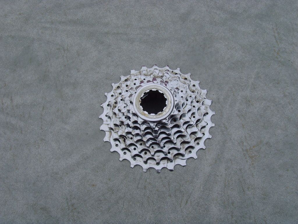 SNV36721.jpg